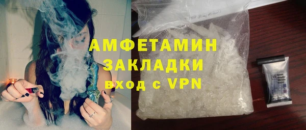 мдпв Дмитриев