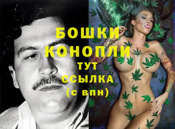 соль курить ск Гусь-Хрустальный