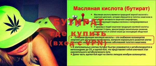 мдпв Дмитриев