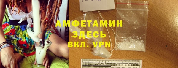 мдпв Дмитриев